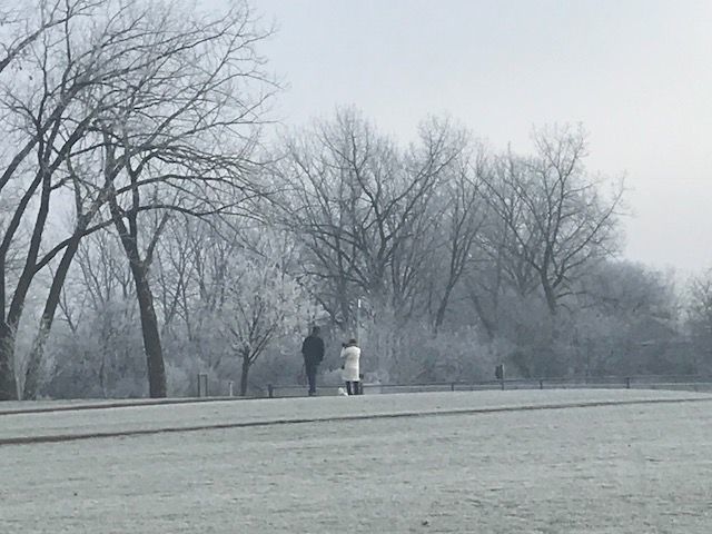 Frosty morning